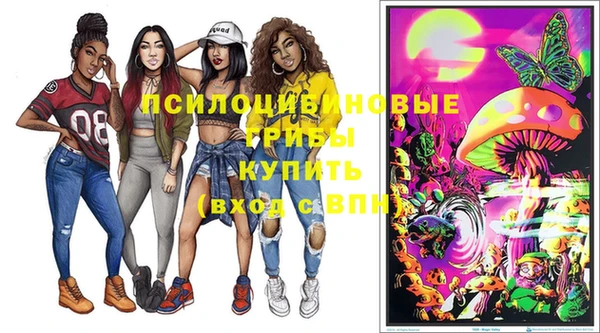 2c-b Абдулино