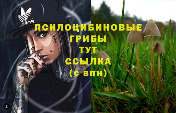 кокаин перу Абаза