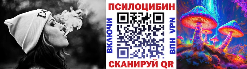 Псилоцибиновые грибы мицелий маркетплейс какой сайт Кандалакша
