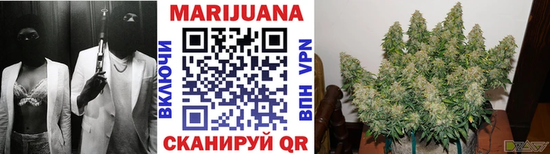 Марихуана план наркошоп Кандалакша